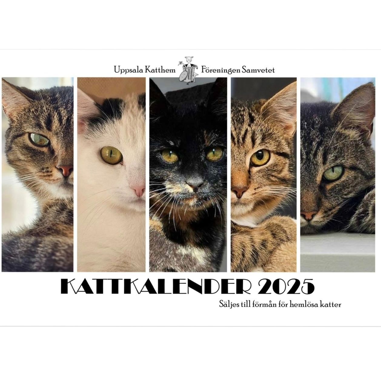 Kattkalender 2025