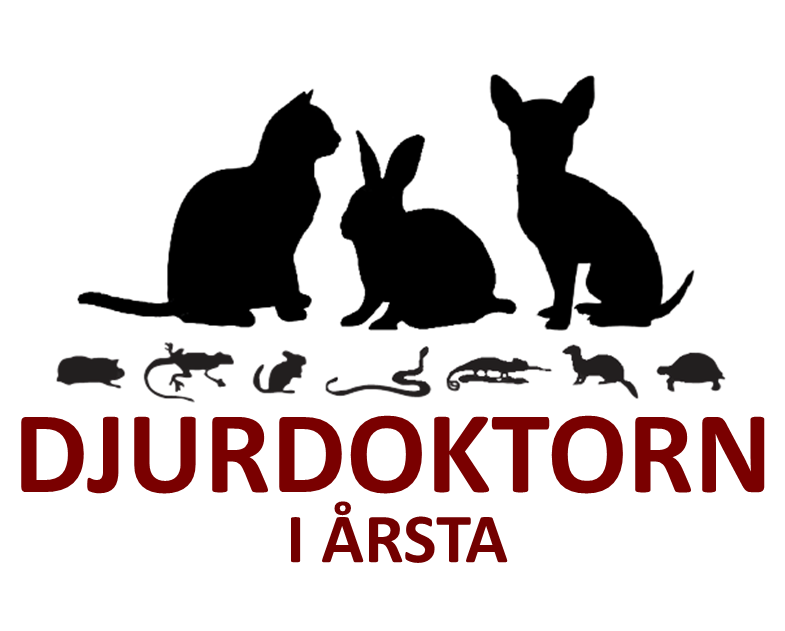 Djurdoktorn i Årsta