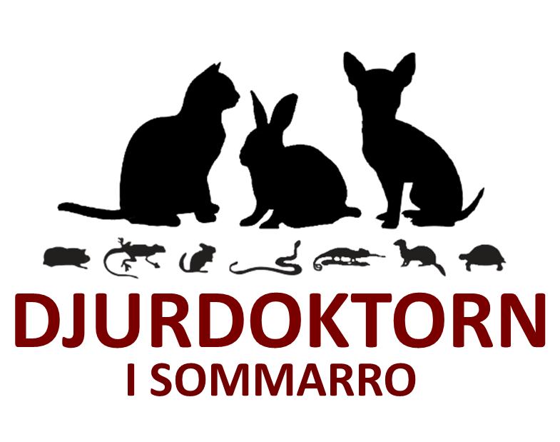 Djurdoktorn i Sommarro